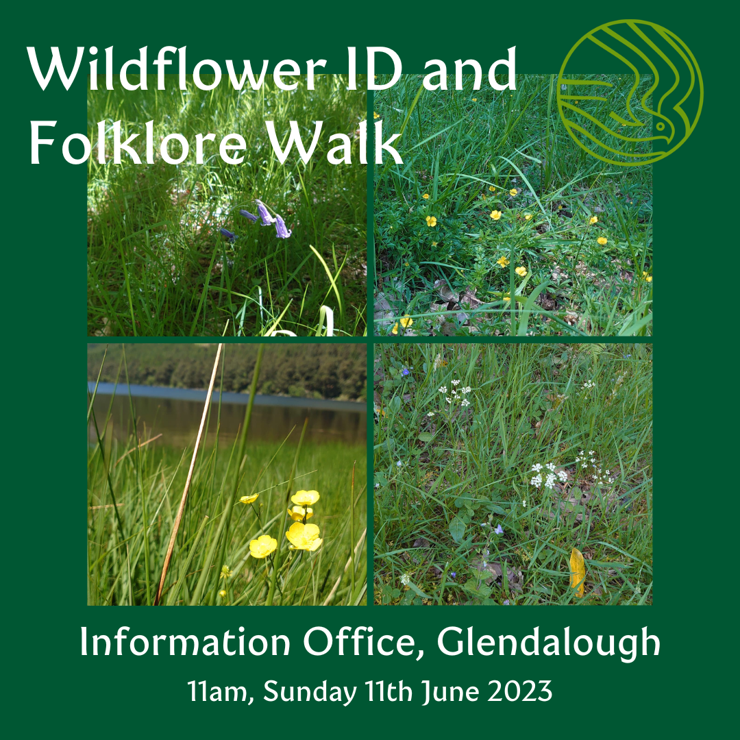 Wildflower I.D. and Folklore Walk National Parks of Ireland